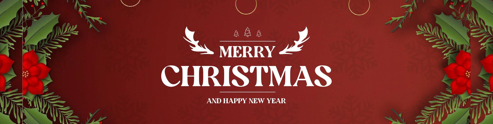 Euro Joe shop 1 Euro Joe shop -Euro Joe shop christmas0128